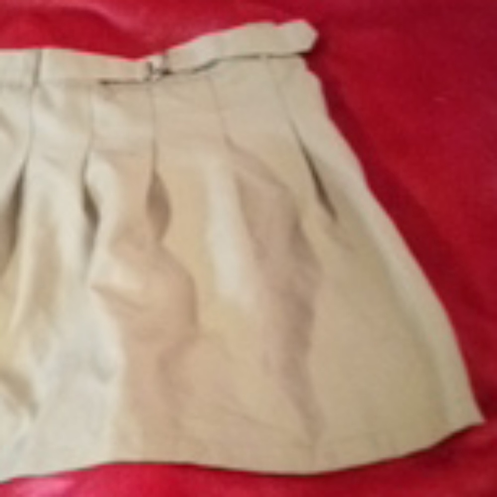 School skirt